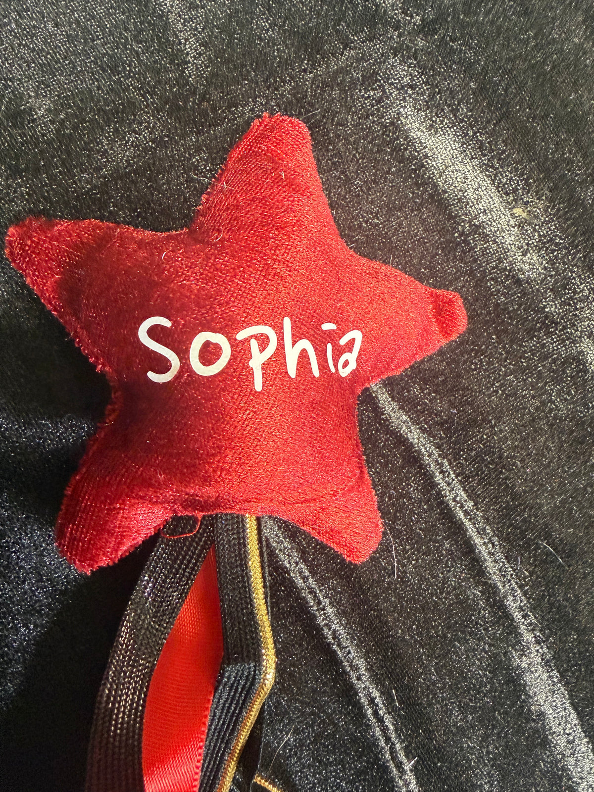 Personalized Fabric Wands